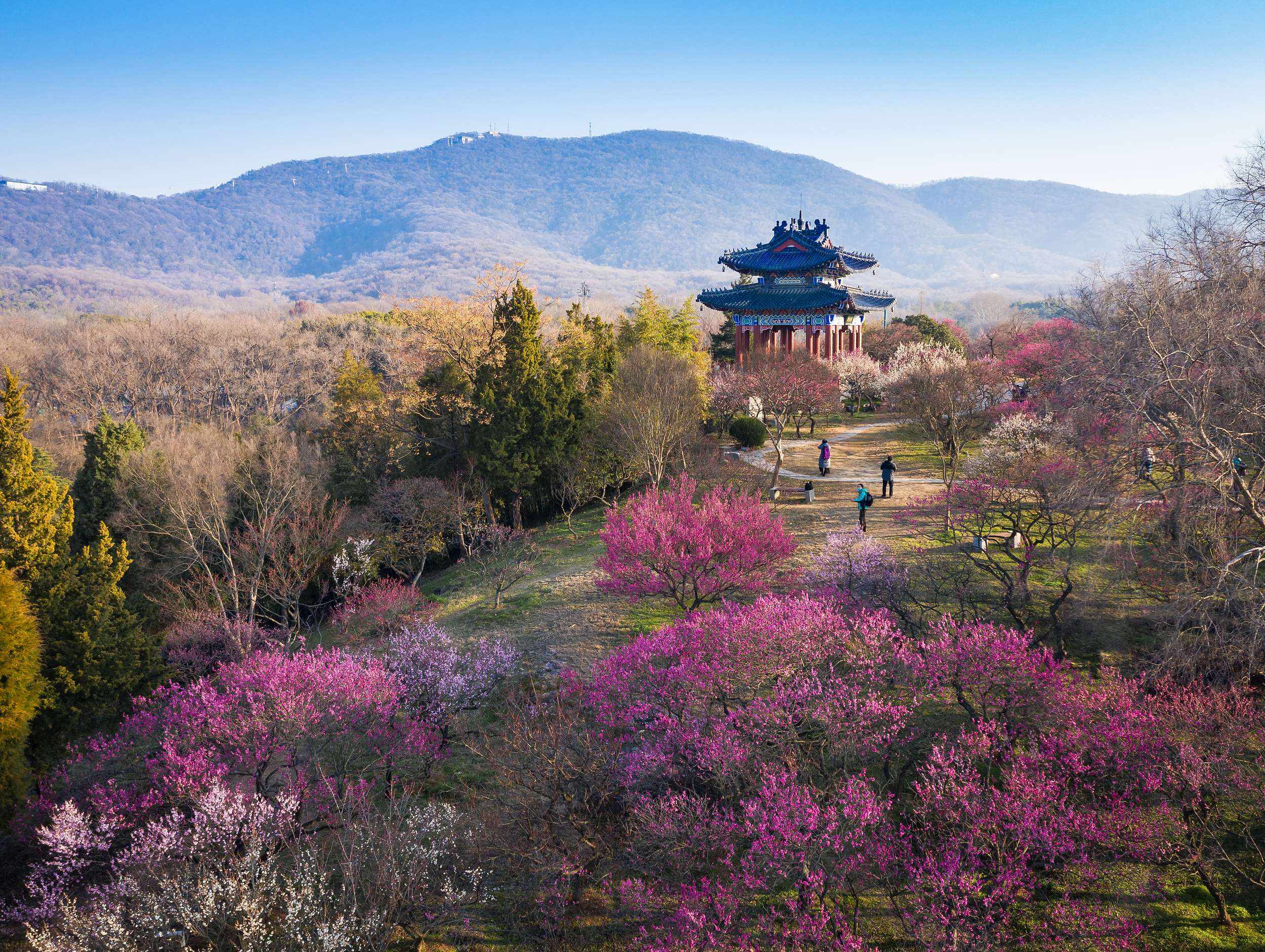 🏞️ 어린이 폭포(치고노타키) 이미지 8